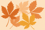 Feuilles automnales