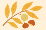 Branche automnale